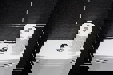 a toilet tank and a tissue